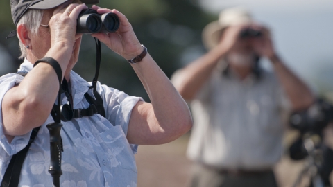 People looking through binoculars