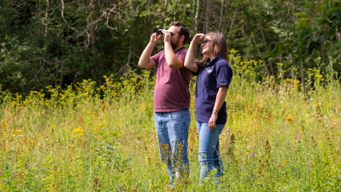 Birdwatching in a meadow. Picture: Jon Hawkins