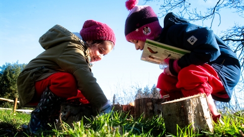 Windsor Great Park Environmental Centre