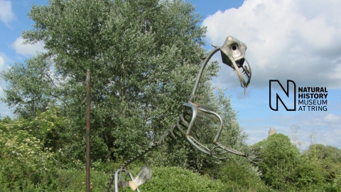 Dinosaur sculpture at Sutton Courtenay