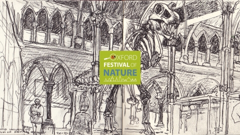 Oxford University Museum of Natural History Drawing by Martin Beek