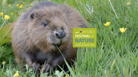 Eager by Ben Goldfarb photo by Nick Upton/Cornwall Wildlife Trust