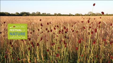OFN Meadow Farm by Colin Williams