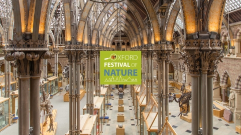 Oxford University Natural History Museum