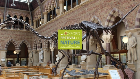 Dinosaurs Oxford University Natural History Museum