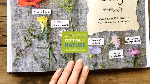 The Wild Remedy with Emma Mitchell
