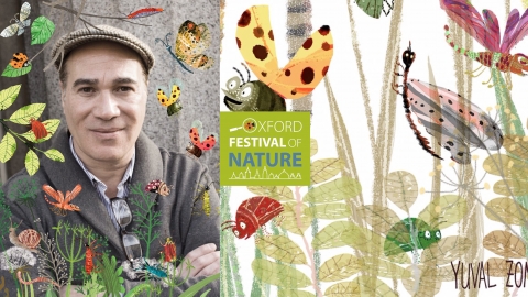 Yuval Zommer illustrator of the Big Bug Book