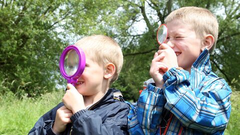 Bug hunt by Ric Mellis