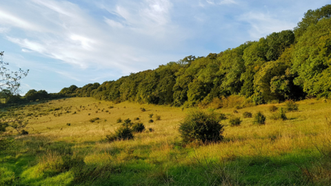 Yoesden bank