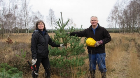 Christmas Tree Sale