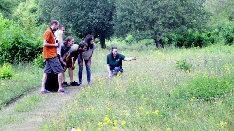 Guided walk