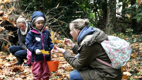 Nature tots by Ric Mellis