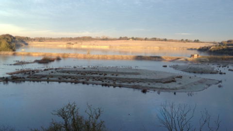 College lake in winter