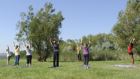 Wild Yoga