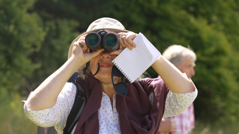 Lady with binoculars