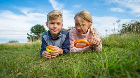 Children in field