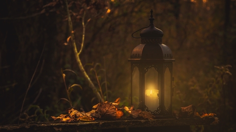 Halloween trail at College Lake by Marco Blazevic