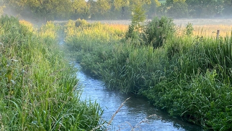 Chalk Steam by Allen Beechey