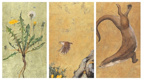 Images from The Lost Words by Robert Macfarlane and Jackie Morris