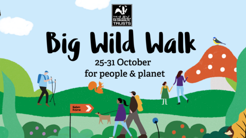 Illustrated banner showing people walking through mushrooms and leaves