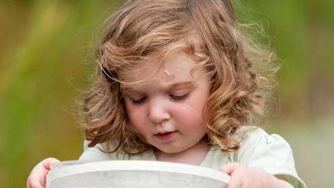 Little girl looking into a bucket