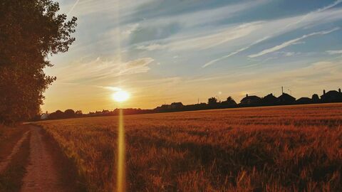 the sun sets over a field casting long rays across it