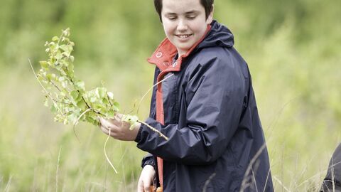 Boy pruning trees