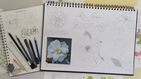 a photo of a sketchbook with illustration of a rose and artists materials