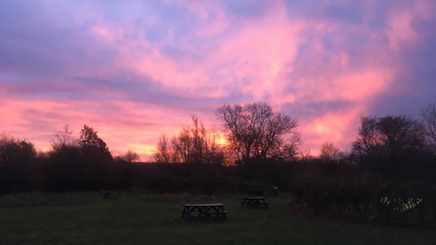 The sun rises dramatically - lots of purples and oranges - over our SCEEC reserve