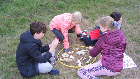 A group of children look at the bones and skulls of animals