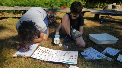 Teen Rangers bug hunting WGP