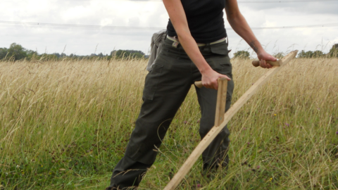 A lady scything long grass