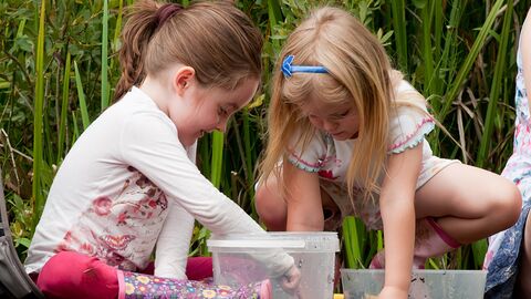Children and mothers pond dipping. 