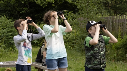 Three teenagers in a meadow. The person on the left is wearing a long sleeved grey t-shirt and blue jeans. He has short hair and is wearing glasses. The middle person is wearing denim shorts and a tie-dye t-shirt and has short, wavy hair. The third person on the right is wearing a green t-shirt and a camouflage gilet, a cap and jeans. All are using binoculars and looking up to the right.