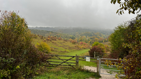 Entrance gate and path leading into Grangelands and Rifle Range Nature Reserve, Buckinghamshire