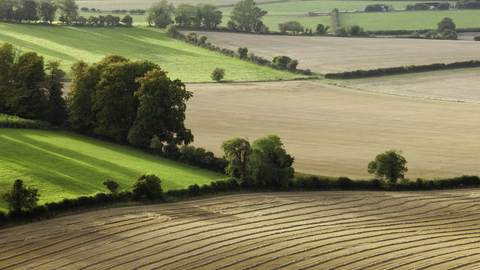 Rural landscape of mixed farming with green fields and ploughed land separated by hedges