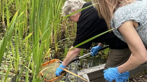 image of two adults pond dipping