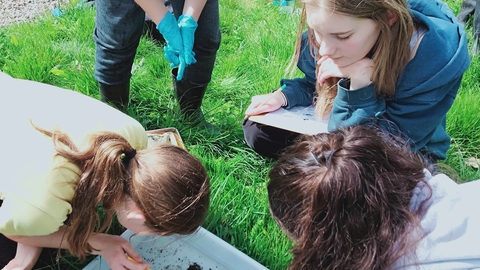 Stream investigation day by Anne Jackson