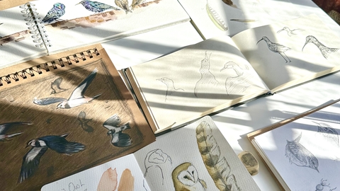 A table featuring many sketchbooks showing drawings and paintings of wildlife