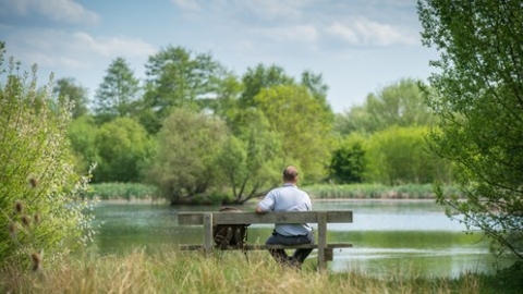 Man sitting on bench by Katharine Walley