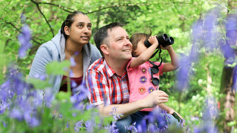 Family in blubell wood