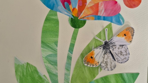 collage of a plant, a bee, and a butterfly