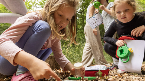 A close-up image of children looking at bugs on a leaf-littered floor. In the background more children are visible using a magnifying glass and a species spotter sheet.