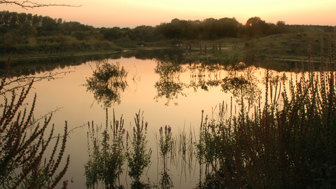 Sunrise over college lake