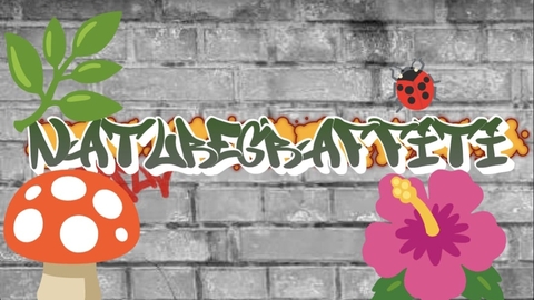 Graffiti-style drawing of leaves, mushrooms, flowers and a ladybird, with graffiti-style text to the right that reads 'Nature Graffiti'