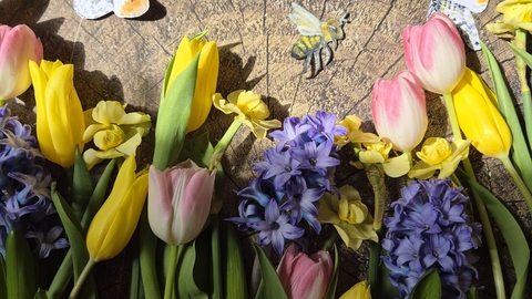 A set of cut flowers lying across a plank of wood, with pictures of butterflies and bees placed as if flying over