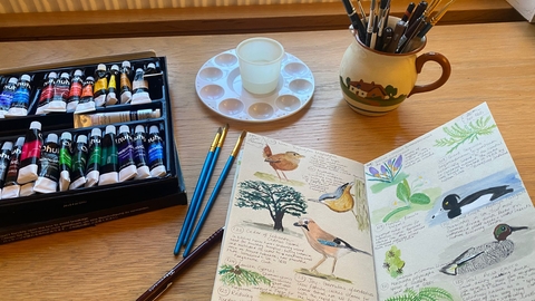 a sketchbook with drawings of birds alongside paints and brushes