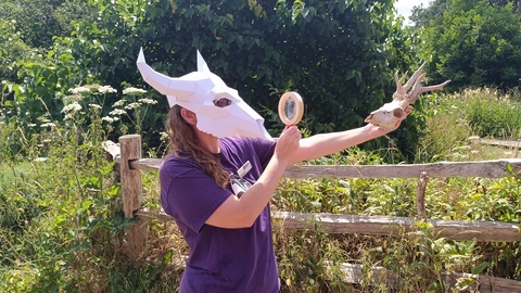 person with an animal skull on their head looking at another skull through a magnifying glass