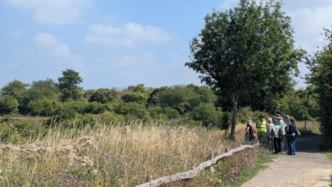 a group of adults on a track beside a tree and grass