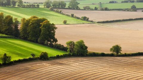 © Guy Edwardes/2020VISION